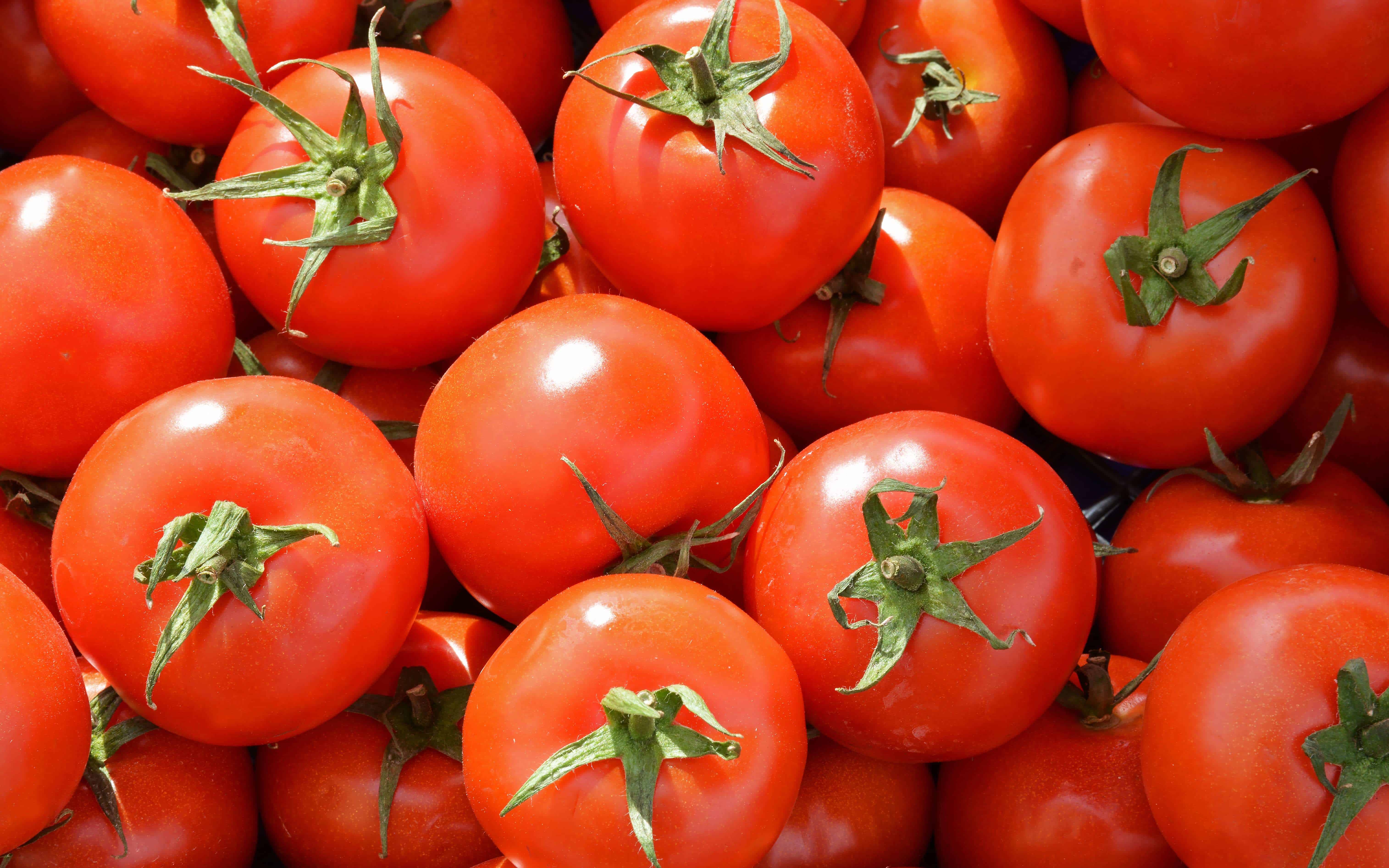 番茄的营养价值大揭秘！生吃熟吃都健康
