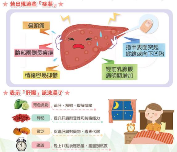 器官食疗秘笈_肝脏应该如何排毒