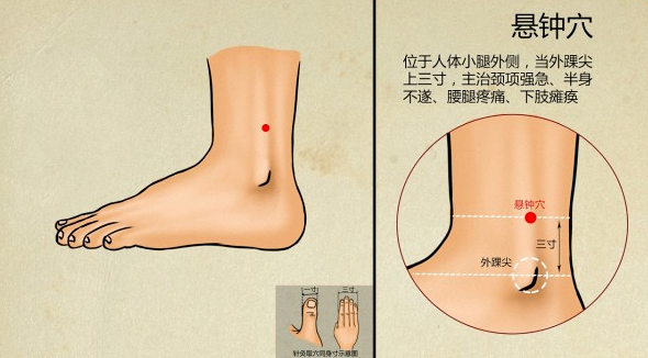 悬钟穴准确位置图及保修方法