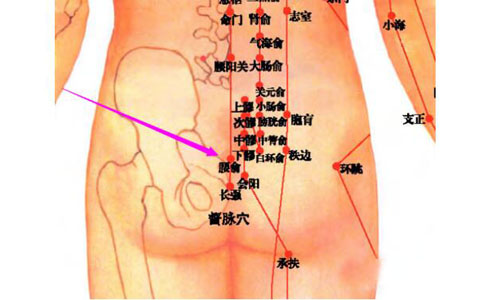 腰俞准确位置图和作用