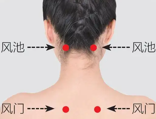 风池准确位置图和作用