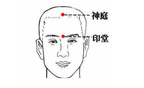 神庭穴的作用与功效，神庭的准确位置图