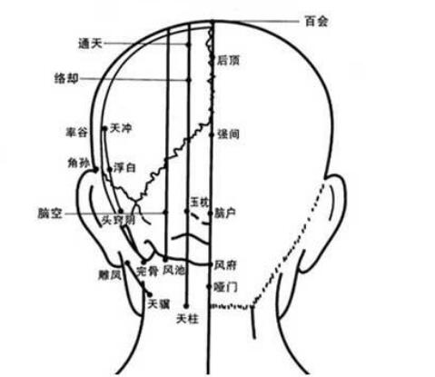 头部穴位：34个头部背面穴位位置图汇总