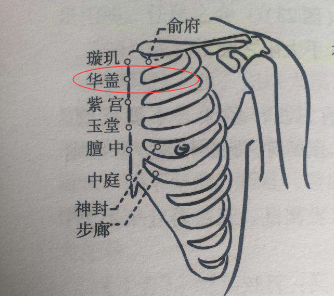 华盖穴最简易找法，华盖的准确位置图和作用