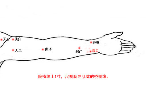 通里穴的作用与功效，通里的准确位置图