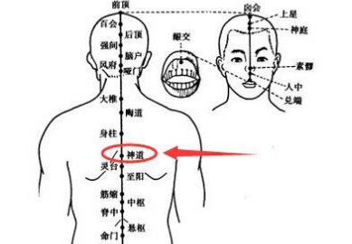 艾灸神道穴的好处，神道的准确位置图与作用