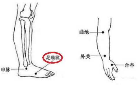 找足临泣窍门，足临泣的作用及功能主治