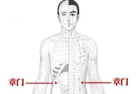 章门穴的功效与作用，章门的准确位置图片