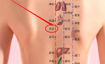 灵台穴的简易找法，灵台的准确位置图和作用