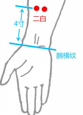 二白穴怎么找最简单，二白的尺寸准确位置图和作用