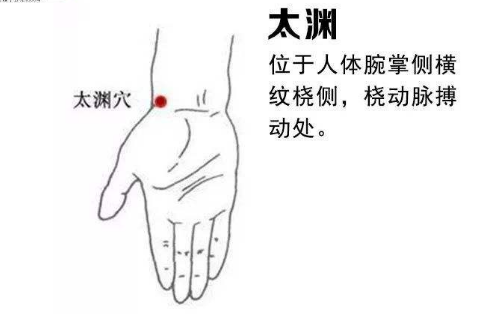 太渊穴在哪里？太渊穴的作用，太渊的准确位置图