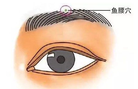 鱼腰穴的好处与功效，鱼腰的准确位置图