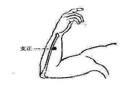 支正的功效与作用，支正准确位置图怎么找
