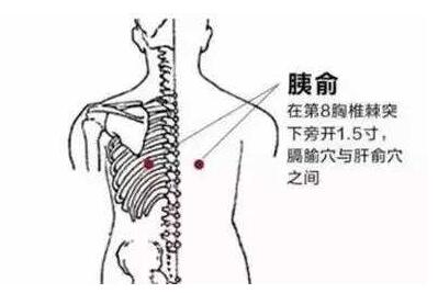 胰俞怎么读，胰俞的简易找法，胰俞的准确位置图