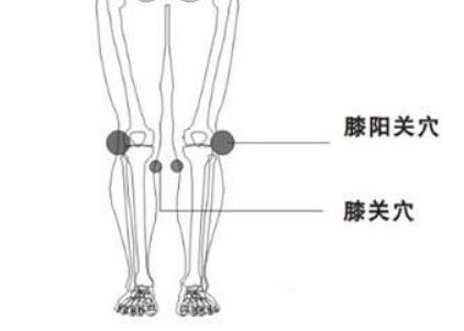 膝阳关的具体位置，膝阳关的作用功能主治