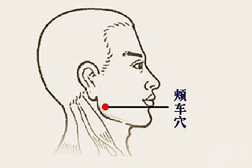 颊车穴怎么找，颊车的作用，颊车的准确位置图