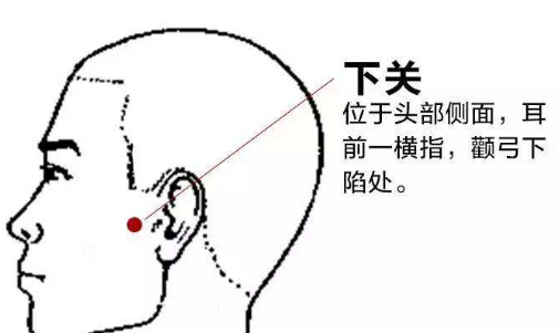 下关穴怎么找？下关的准确位置图片和作用