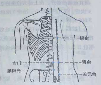 找关元俞最笨的方法，关元俞穴的准确位置图和作用