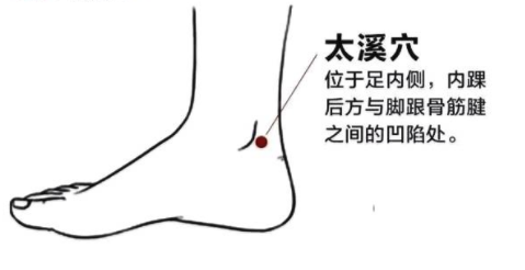 太溪穴的作用，太溪的准确位置图