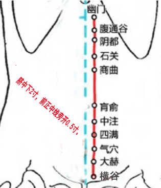 四满穴的最笨找法，四满的准确位置图和作用