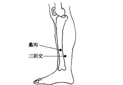 蠡沟怎么发音，蠡沟的准确位置图和作用