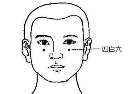 承泣四白的准确位置图和作用