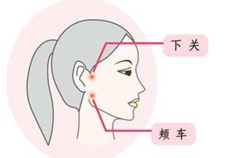 颊车穴怎么找，颊车的作用，颊车的准确位置图