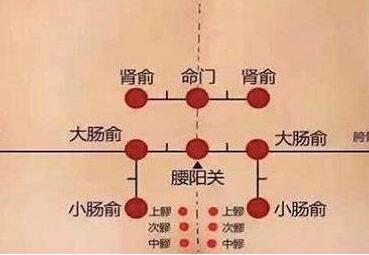 腰阳关的简易找法，腰阳关和命门隔了几寸