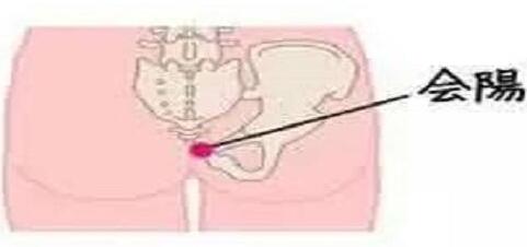 会阳是什么？会阳的准确位置图和作用