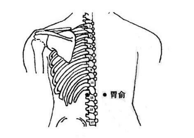 胃俞穴怎么找最简单，胃俞的准确位置图和作用