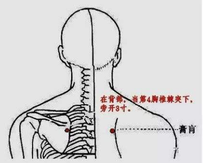 膏肓怎么读？膏肓穴的准确位置图和作用