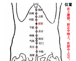 建里穴的最笨找法，建里的准确位置图和作用