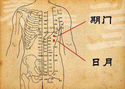 日月穴怎么找？日月的准确位置图和作用