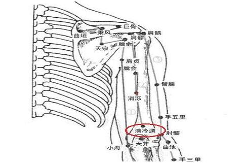 清冷渊的功效与作用，清冷渊的准确位置图和作用