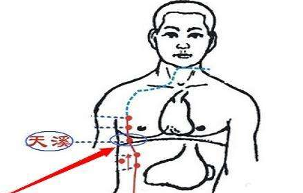 找天溪穴的最笨方法，天溪的准确位置图和作用