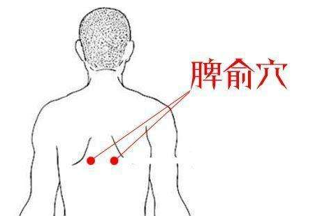 找脾俞穴的最简单的方法，脾俞的准确位置图和作用