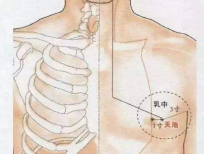 天池穴的最笨找法，天池的准确位置图和作用