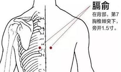 膈俞的简易找法，膈俞痛是怎么回事