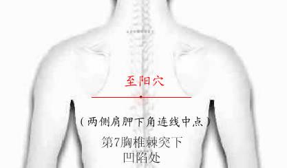 至阳穴定位在哪？至阳的准确位置图和作用