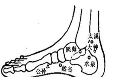 水泉穴的最笨找法，水泉的准确位置图和作用