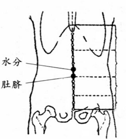 水分穴的作用与好处，水分的准确位置图