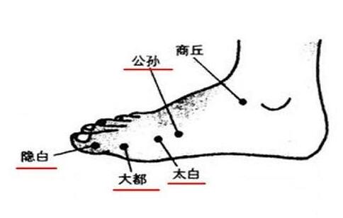 大都的最笨找法，大都的准确位置图和作用