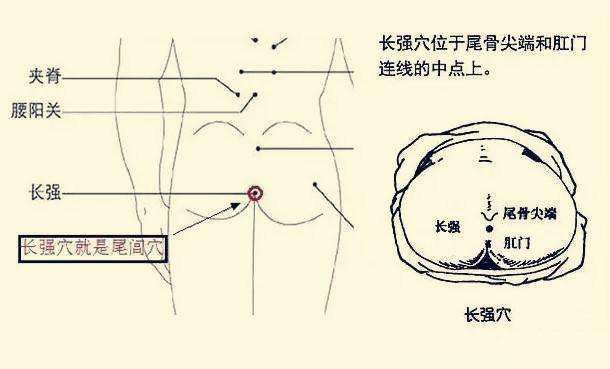 尾闾穴在哪个位置，尾闾的准确位置图