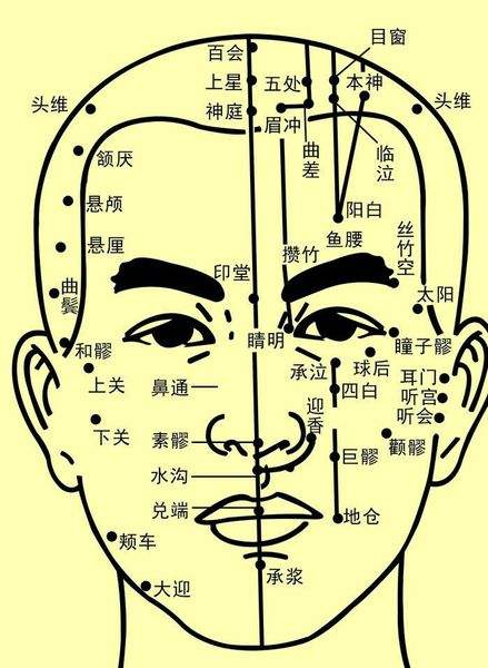 面部穴位，脸部29个穴位的位置汇总（附面部穴位图）