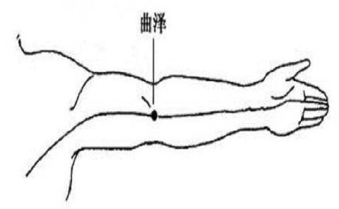 曲泽的位置及功效，曲泽的准确位置图和作用