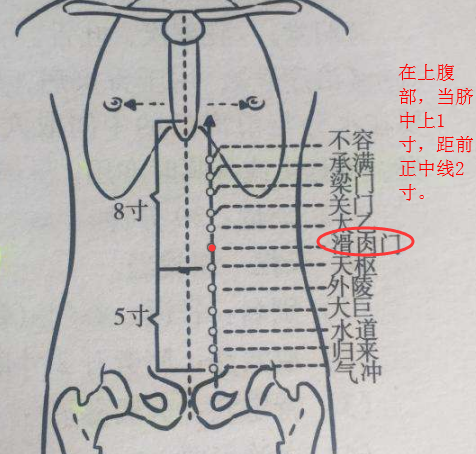 外陵穴的简易找法，外陵的准确位置图和作用