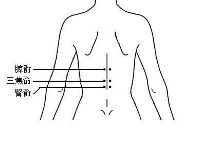 三焦俞穴怎么找最简单？三焦俞的准确位置图和作用