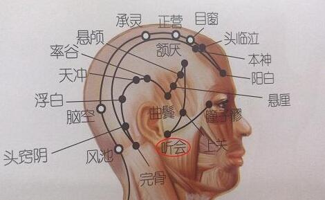 听会什么意思？听会的准确位置图和作用