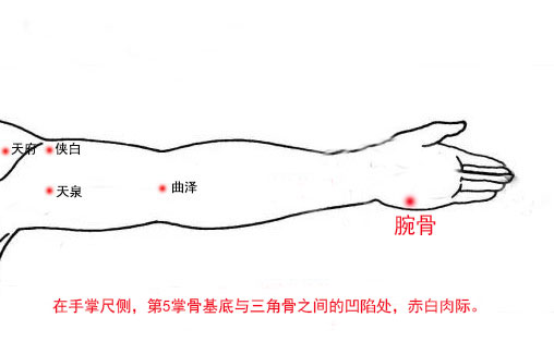 腕骨穴简易取法，腕骨的准确位置图和作用