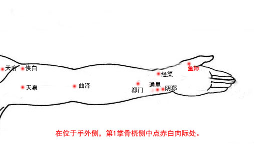 找鱼际穴的最笨方法，鱼际的准确位置图和作用